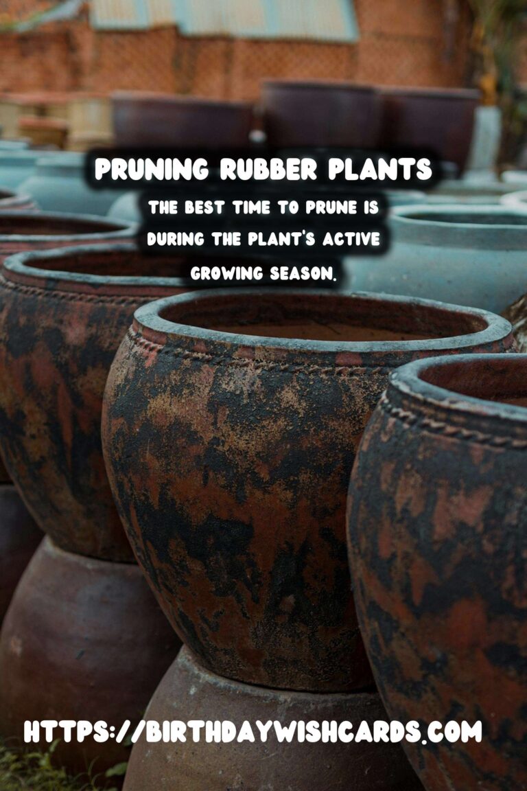 Easy Care Guide for Rubber Plants: Pruning for Shape