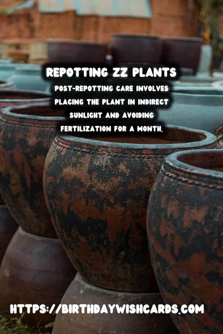 Easy Care Guide for ZZ Plants: Repotting for Healthy Growth