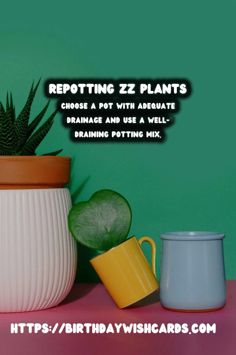 Easy Care Guide for ZZ Plants: Repotting for Healthy Growth