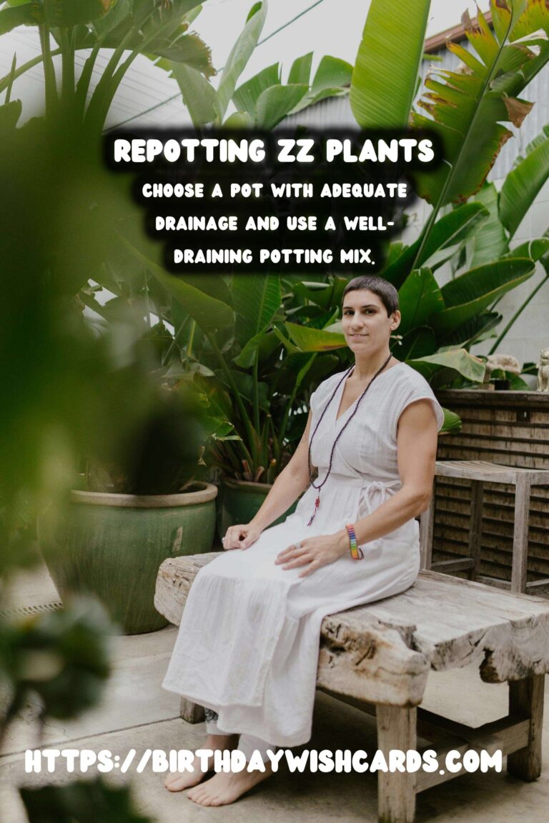 Easy Care Guide for ZZ Plants: Repotting for Healthy Growth