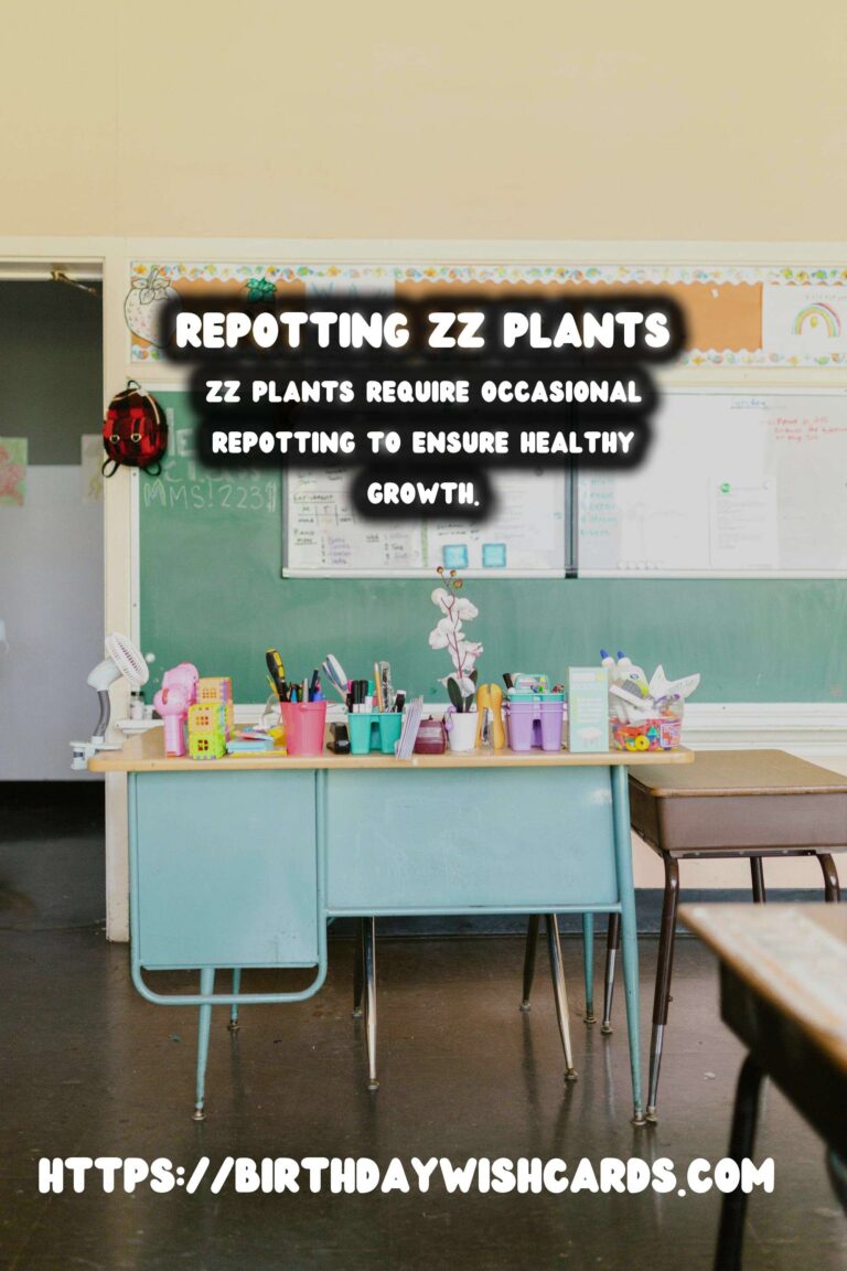 Easy Care Guide for ZZ Plants: Repotting for Healthy Growth