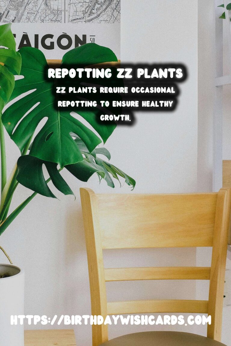 Easy Care Guide for ZZ Plants: Repotting for Healthy Growth