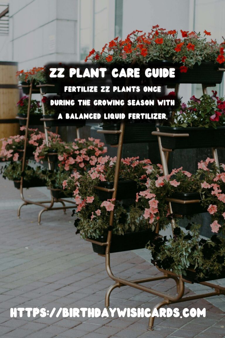 Easy Care Guide for ZZ Plants: Tips and Tricks for Healthy Growth