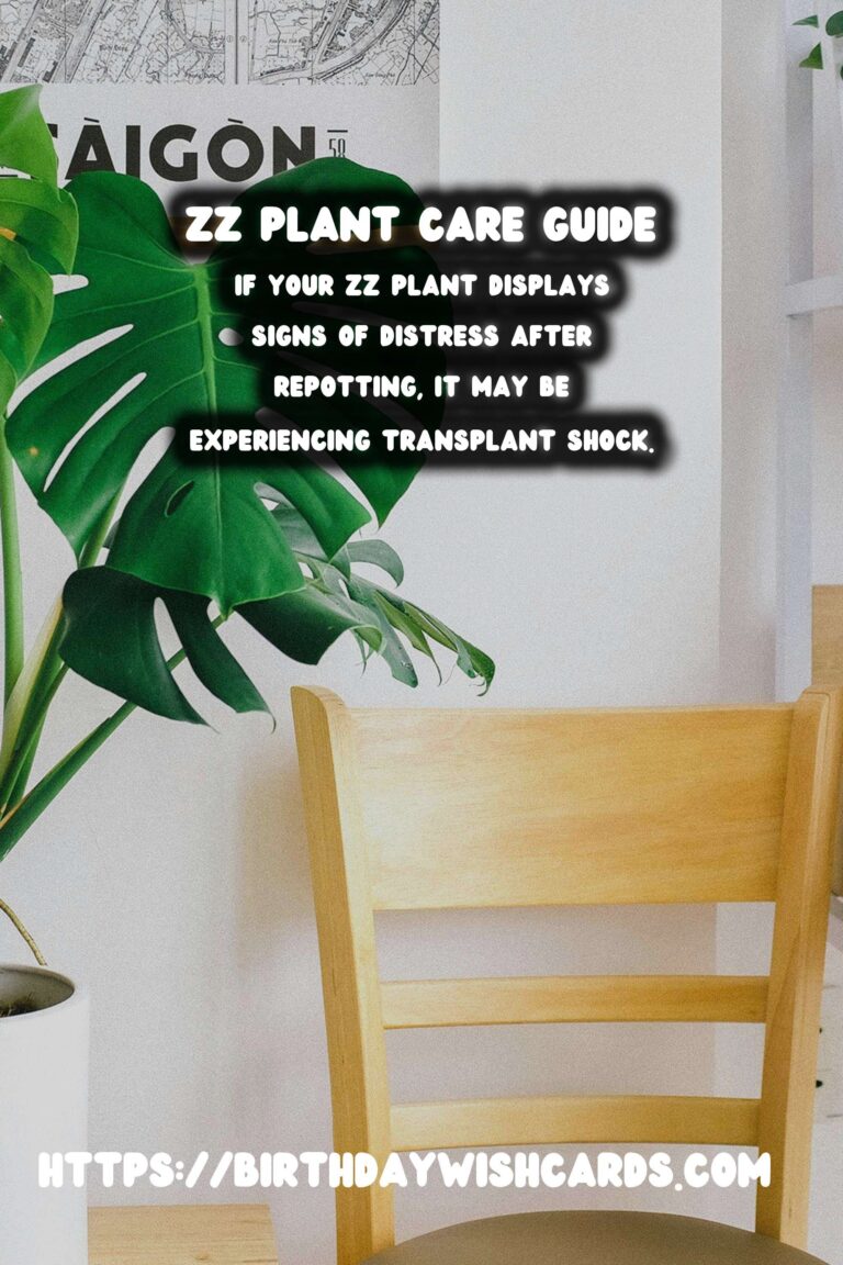 Easy Care Guide for ZZ Plants: When to Repot