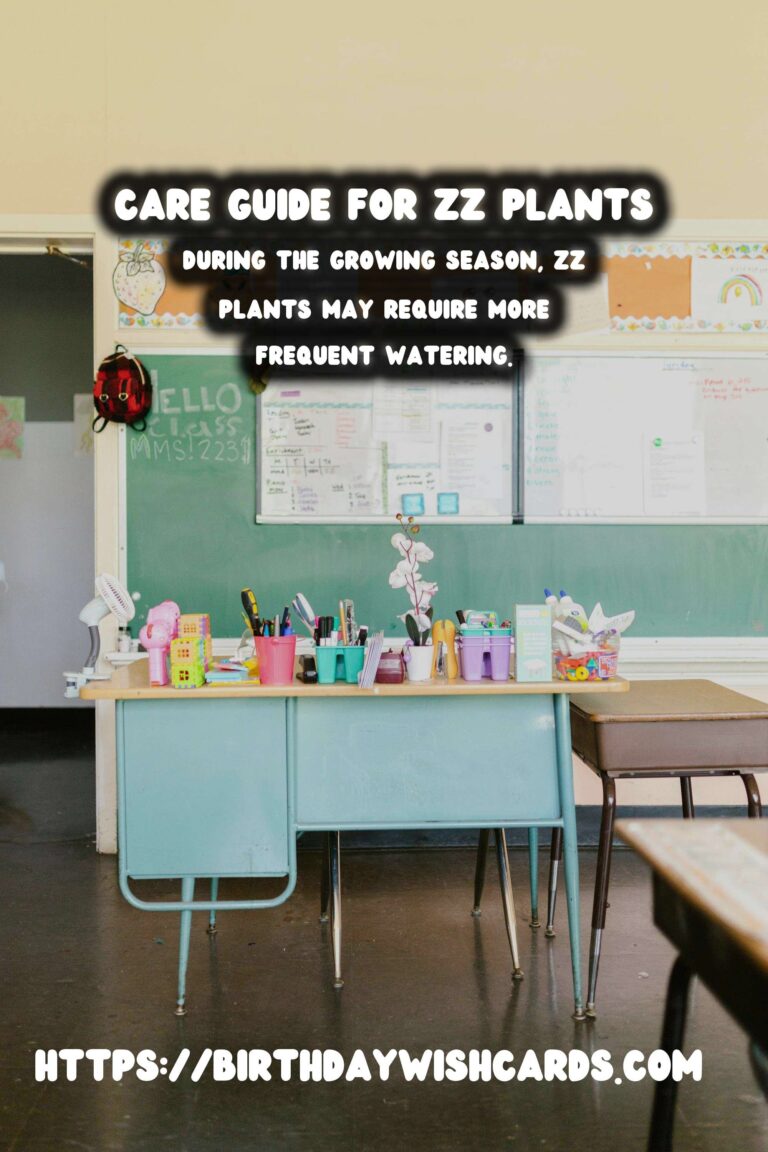 Easy Care Guide for ZZ Plants: When to Water