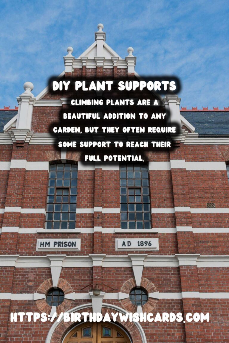 Easy DIY Plant Supports for Climbing Plants