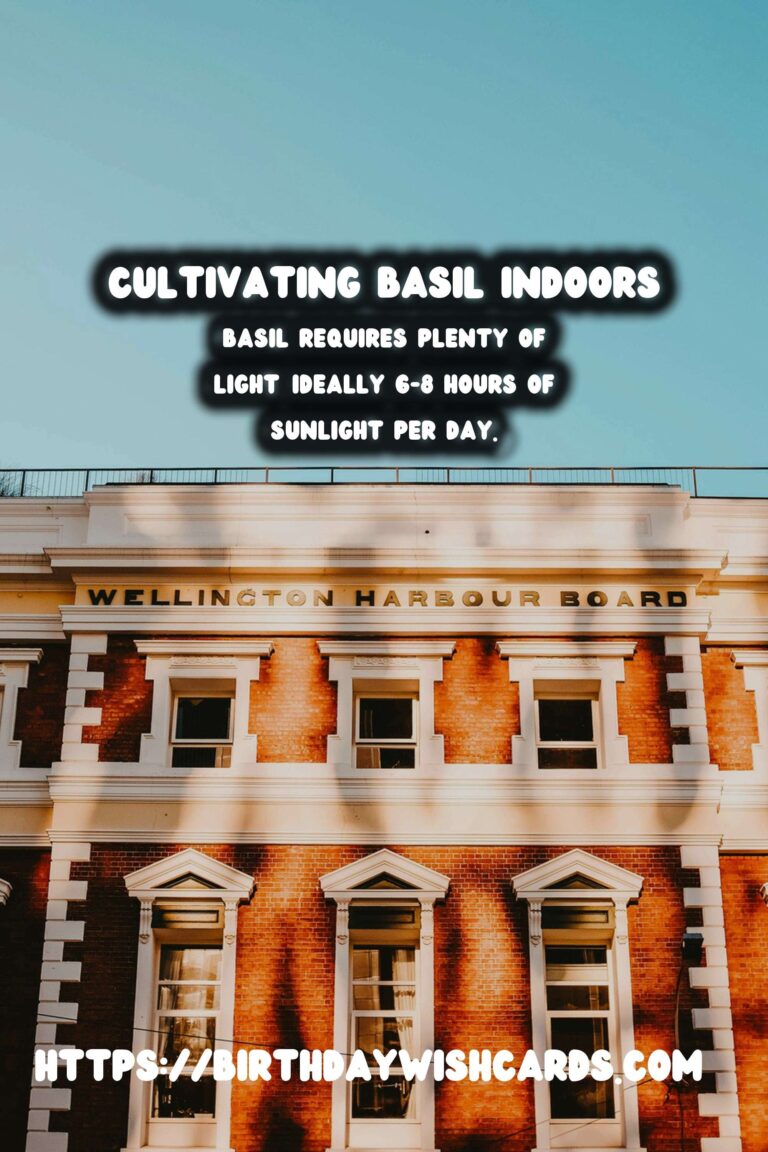 Easy Guide to Growing Basil Indoors