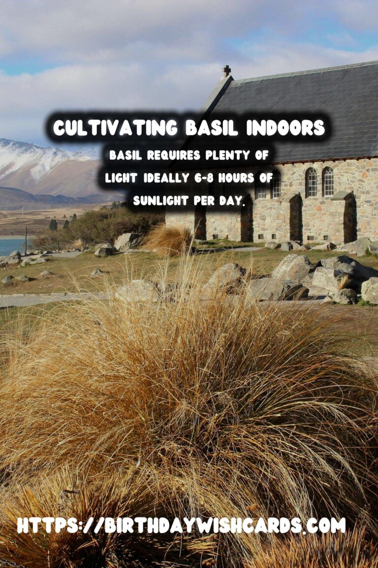 Easy Guide to Growing Basil Indoors