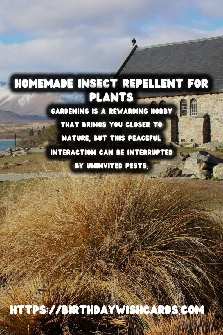 Effective Home-Made Insect Repellents for Thriving Garden Plants