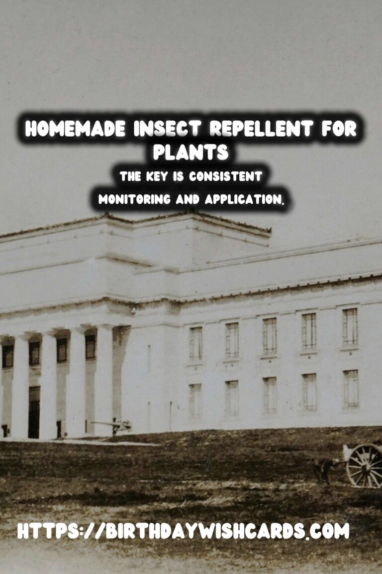 Effective Home-Made Insect Repellents for Thriving Garden Plants