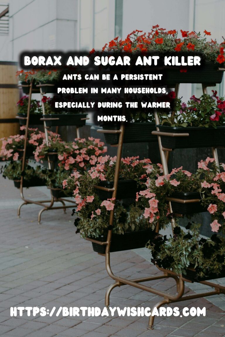 Effective Homemade Ant Killer: Borax & Sugar Solution
