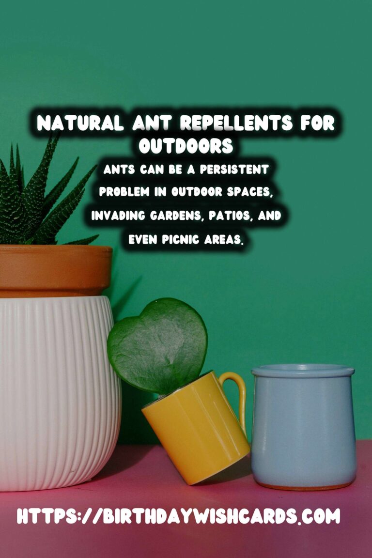 Effective Homemade Ant Repellent for Outdoors