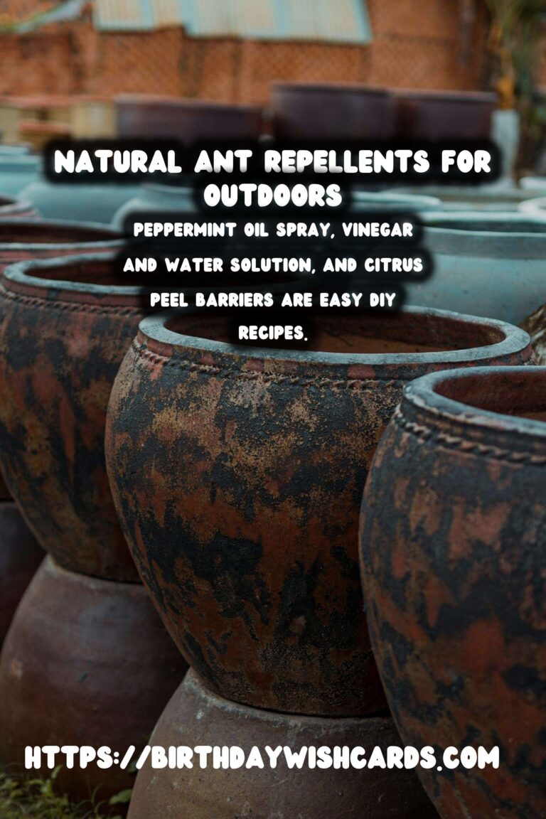 Effective Homemade Ant Repellent for Outdoors