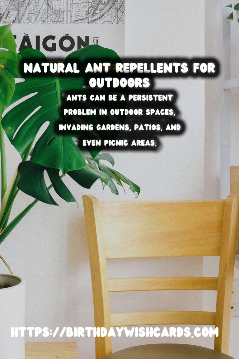 Effective Homemade Ant Repellent for Outdoors
