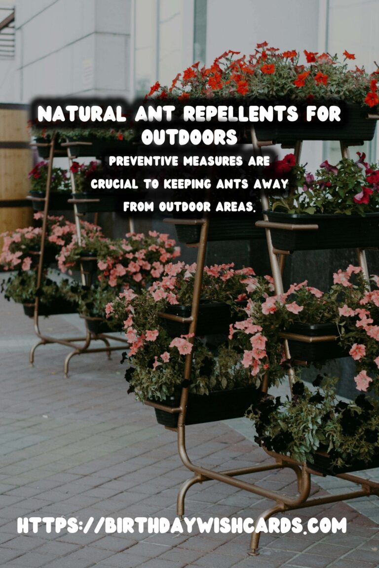 Effective Homemade Ant Repellent for Outdoors