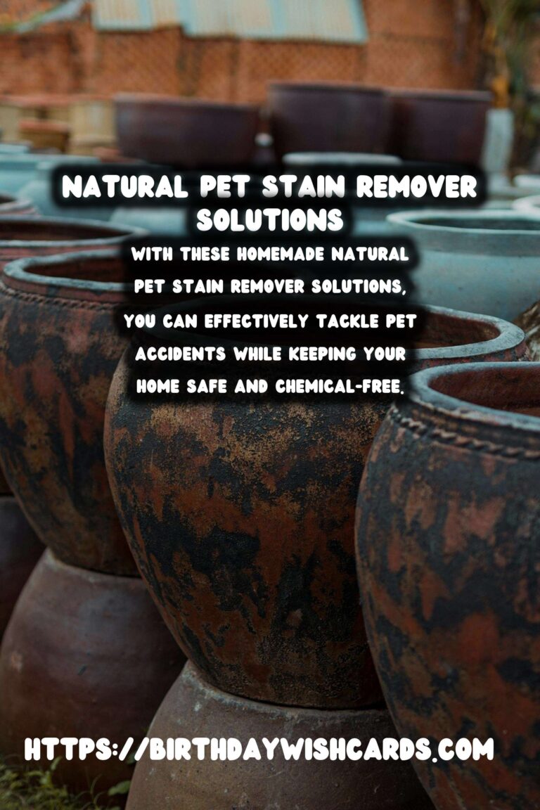 Effective Homemade Natural Pet Stain Remover Solutions