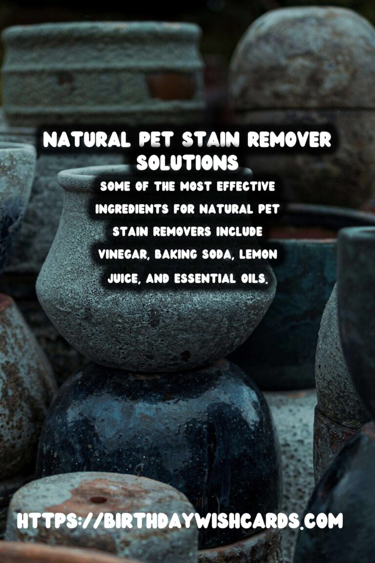 Effective Homemade Natural Pet Stain Remover Solutions