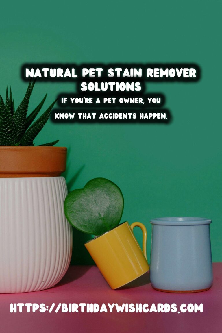 Effective Homemade Natural Pet Stain Remover Solutions