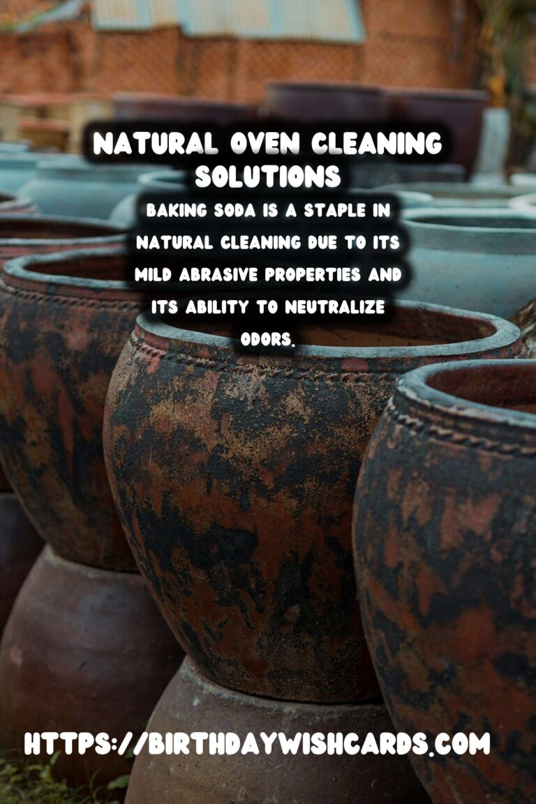 Effective Homemade Oven Cleaner: Natural Solutions for a Sparkling Kitchen