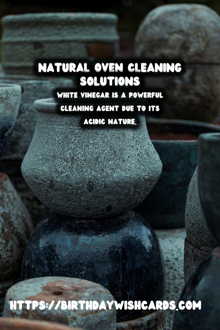 Effective Homemade Oven Cleaner: Natural Solutions for a Sparkling Kitchen