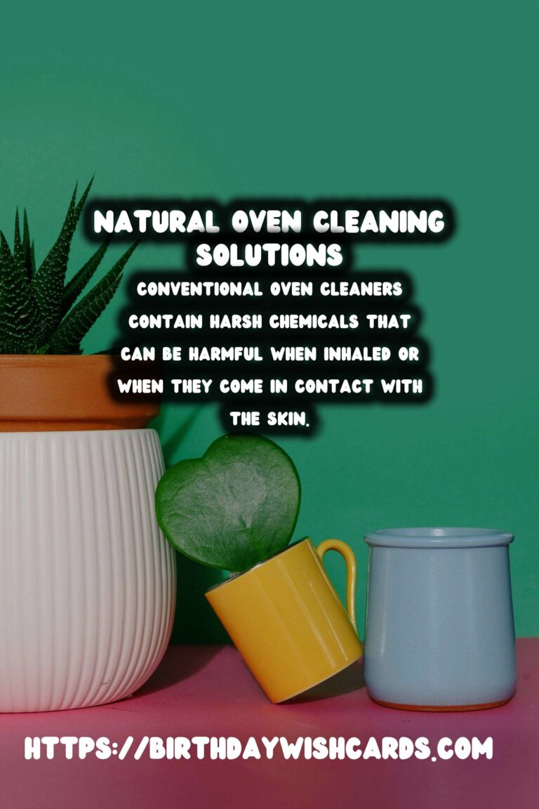 Effective Homemade Oven Cleaner: Natural Solutions for a Sparkling Kitchen