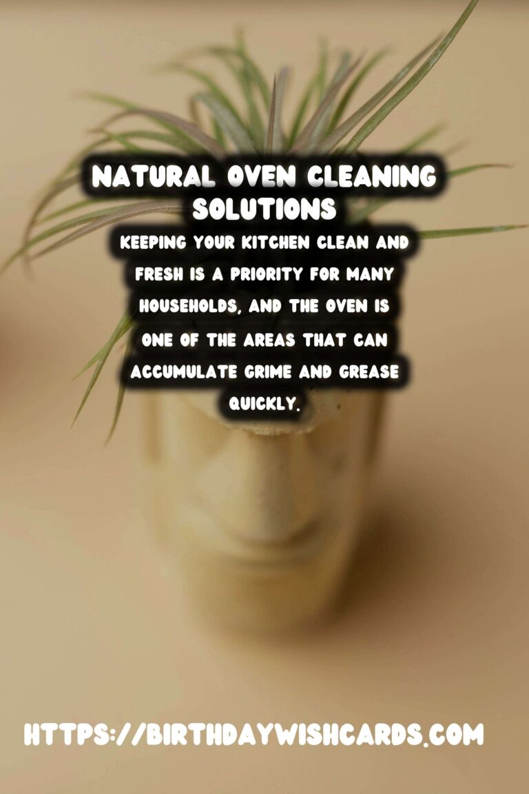 Effective Homemade Oven Cleaner: Natural Solutions for a Sparkling Kitchen