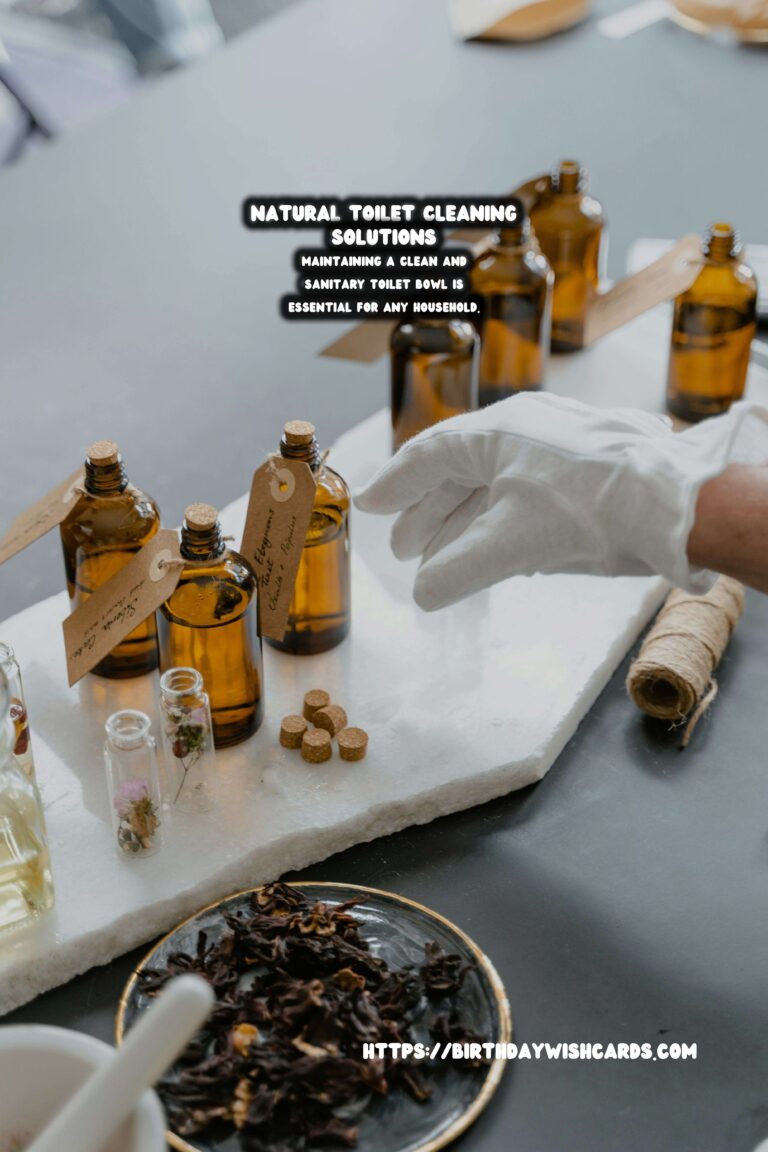 Effective Homemade Toilet Bowl Cleaner Solutions