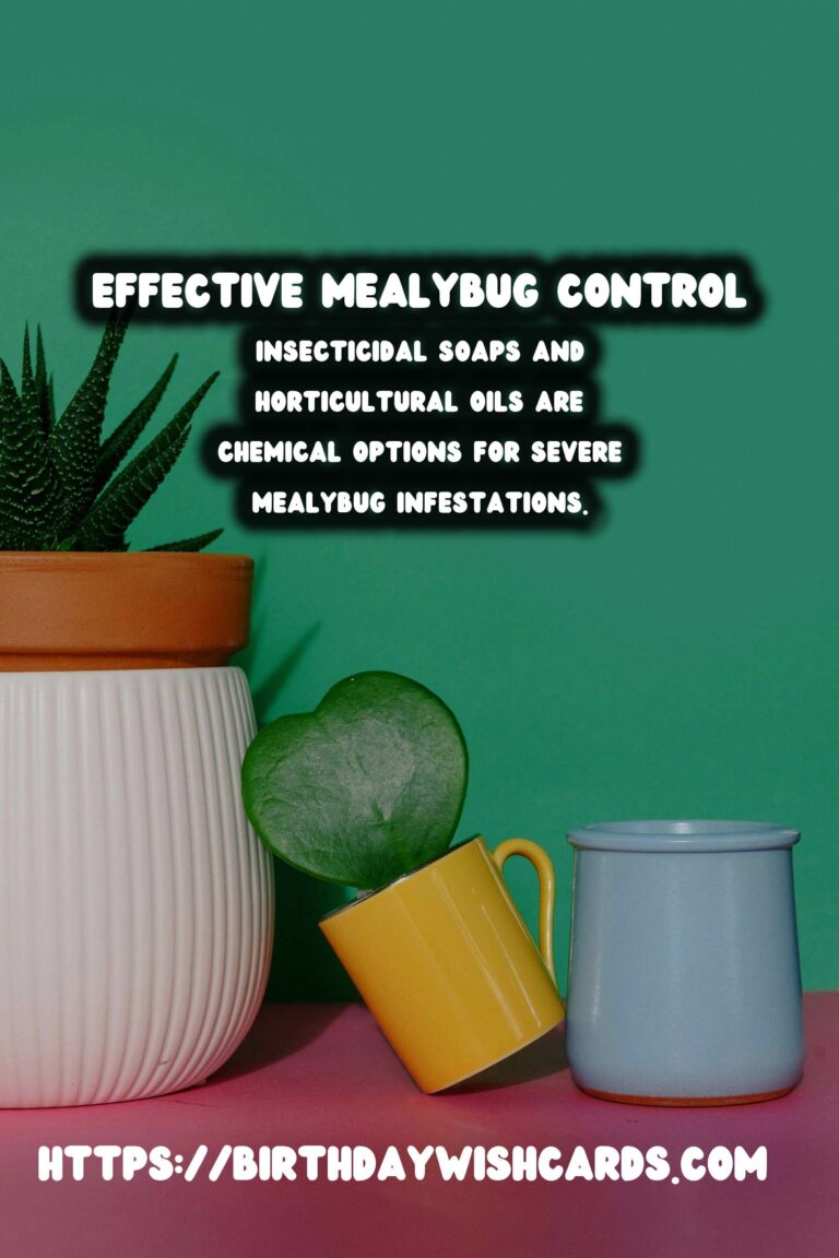 Effective Mealybug Control for Thriving Plants