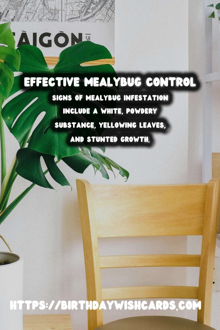 Effective Mealybug Control for Thriving Plants