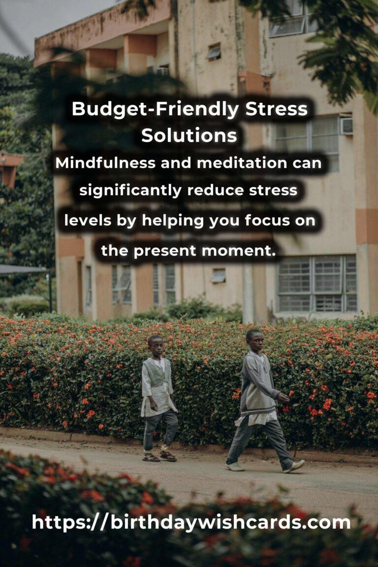Effective Solutions to Common Budget-Friendly Stress Management Problems