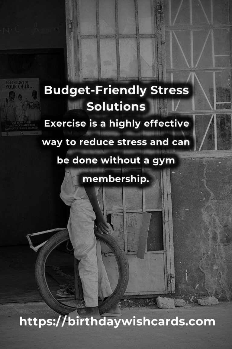 Effective Solutions to Common Budget-Friendly Stress Management Problems
