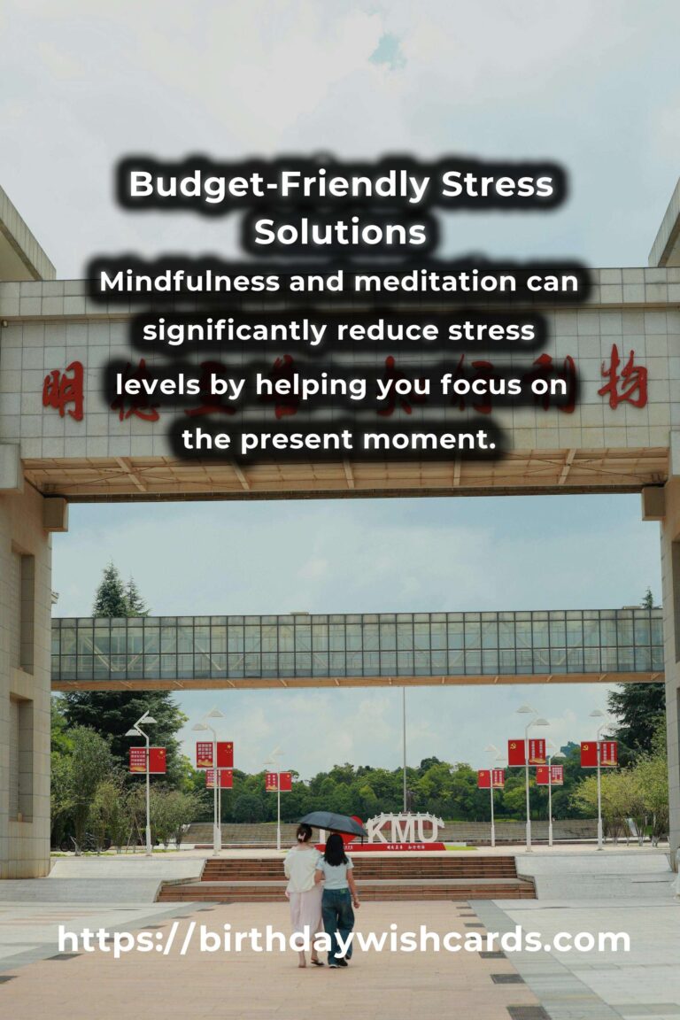 Effective Solutions to Common Budget-Friendly Stress Management Problems