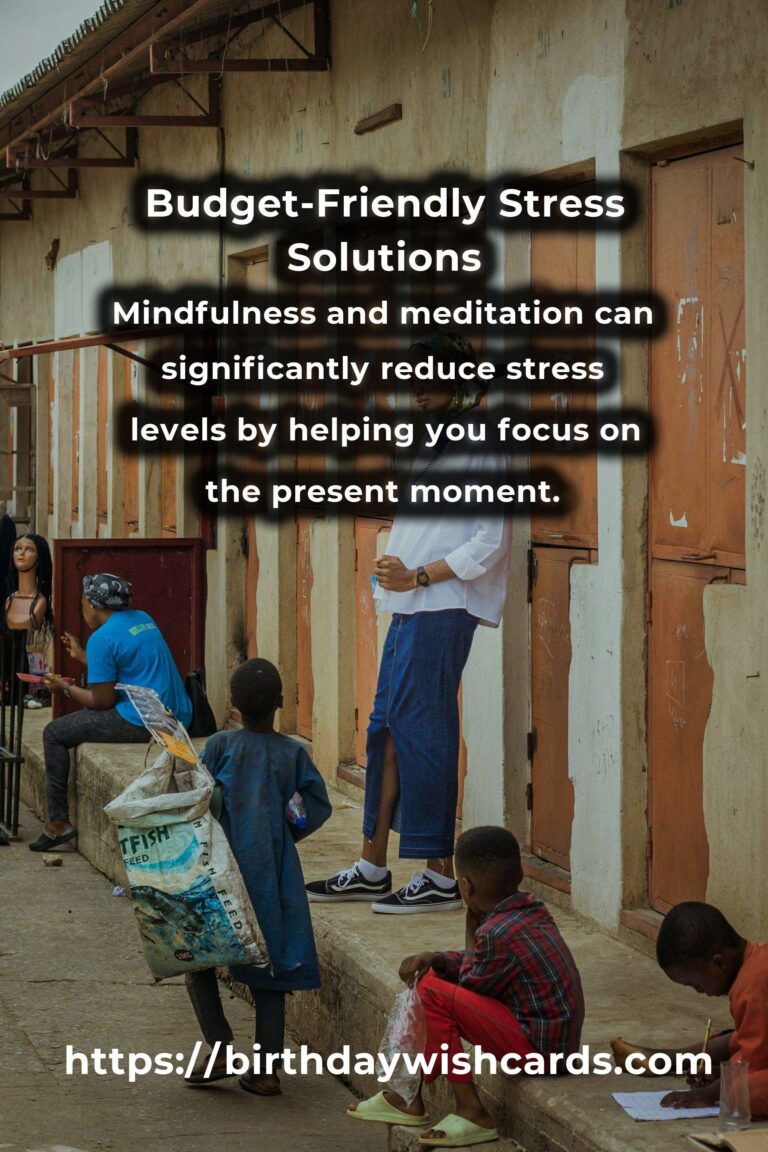 Effective Solutions to Common Budget-Friendly Stress Management Problems