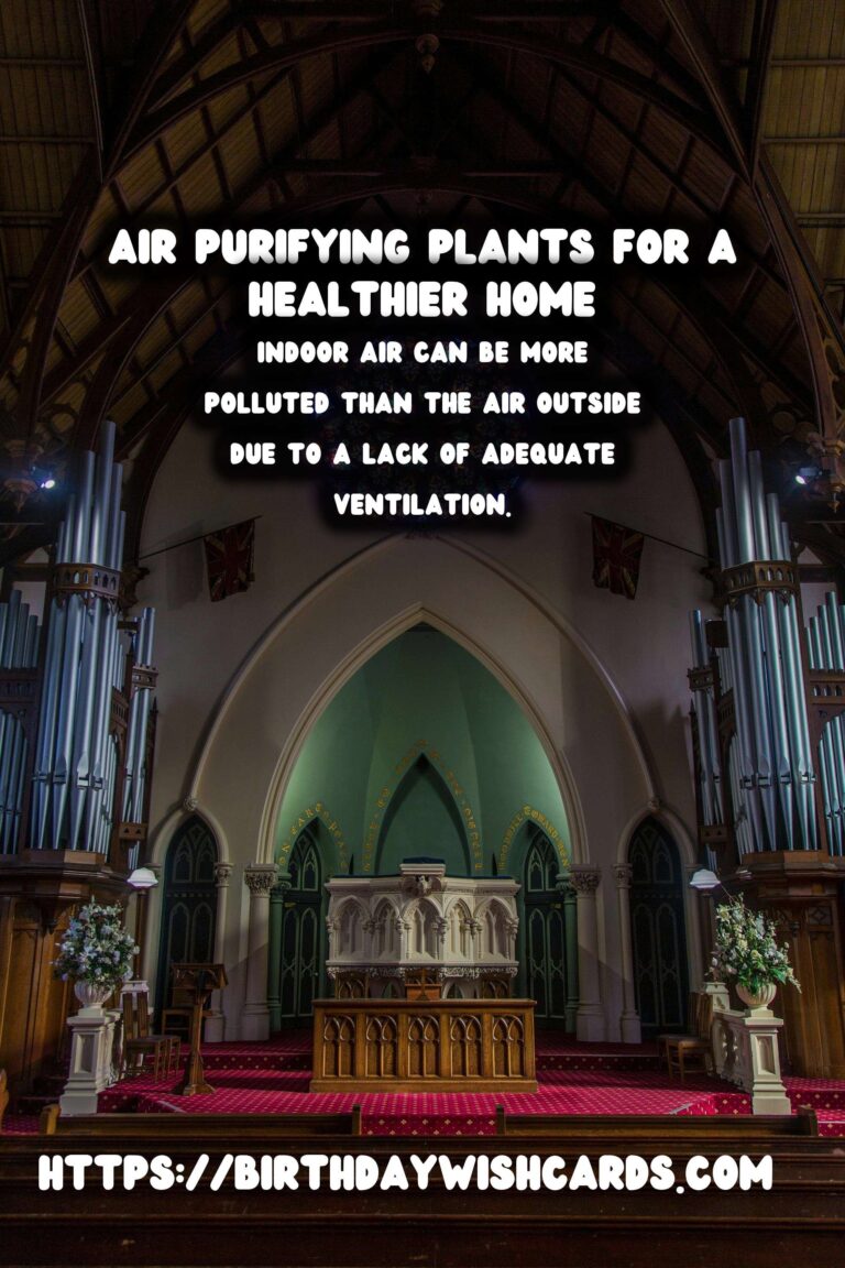 Enhance Your Indoor Environment: Top Air Purifying Plants for a Healthier Home