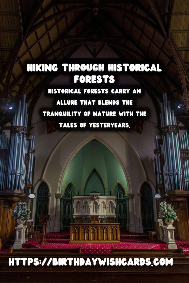 Exploring Time: Hiking Through Historical Forests