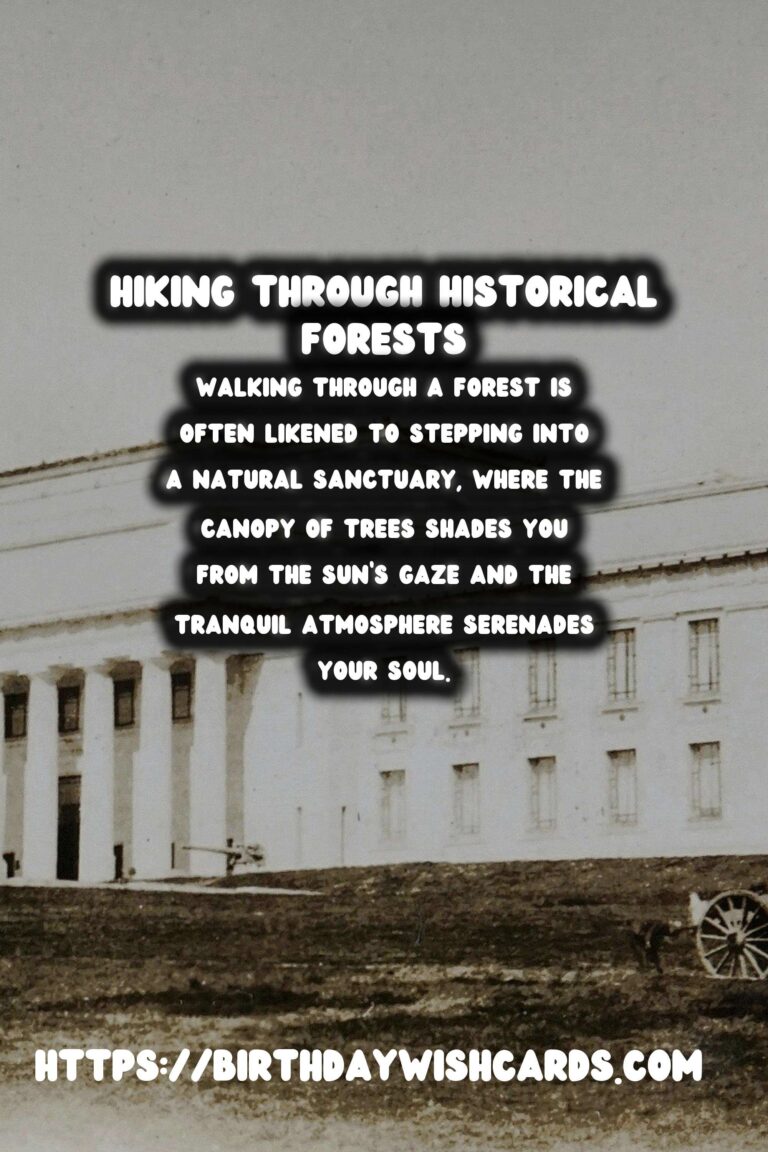 Exploring Time: Hiking Through Historical Forests