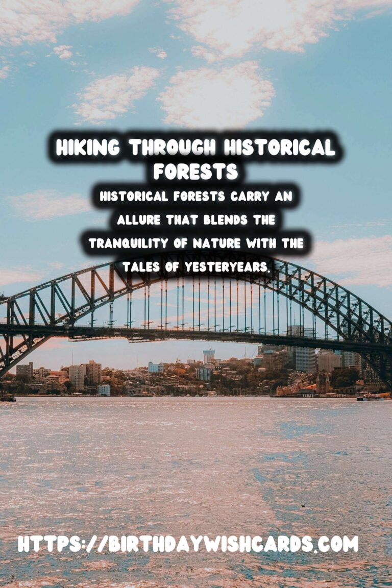 Exploring Time: Hiking Through Historical Forests