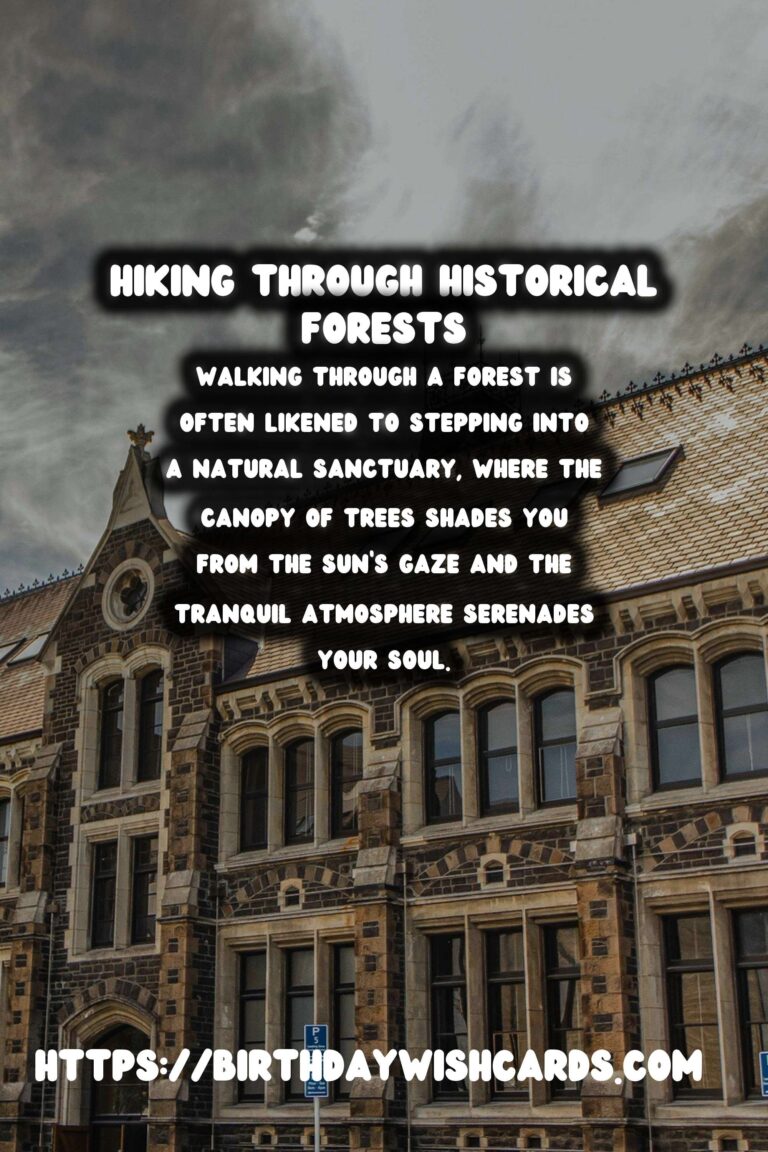Exploring Time: Hiking Through Historical Forests