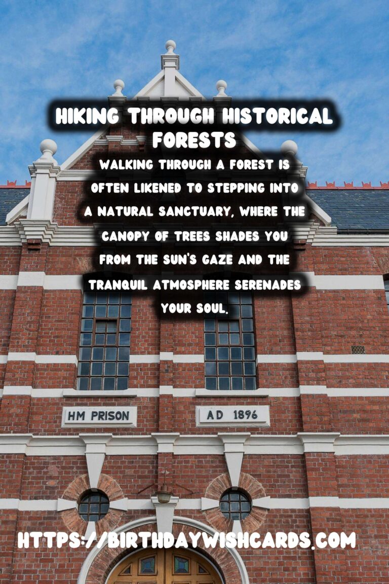 Exploring Time: Hiking Through Historical Forests
