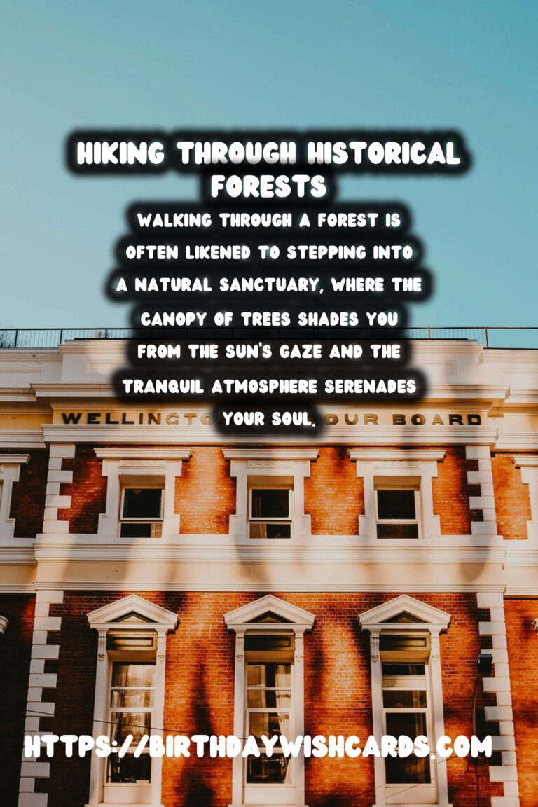 Exploring Time: Hiking Through Historical Forests