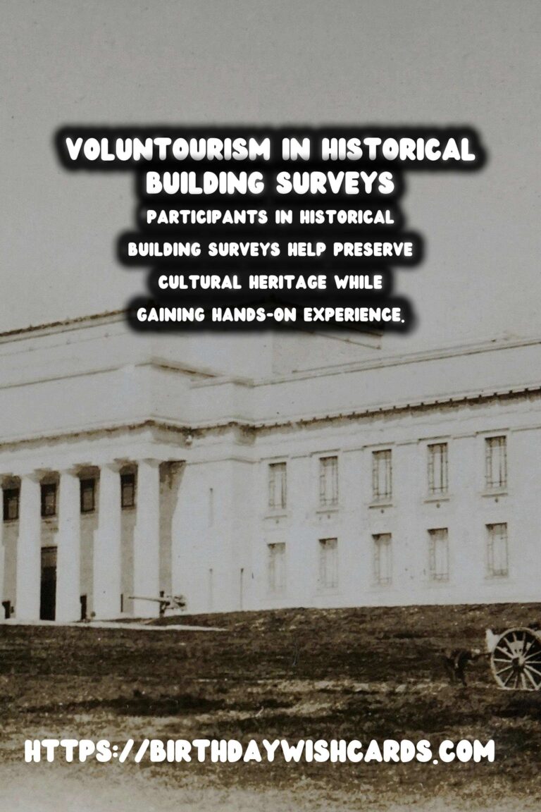 Exploring Voluntourism for Historical Building Surveys: A Unique Travel Experience