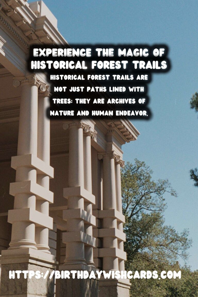 Exploring the Beauty and History: Hiking Through Historical Forest Trails