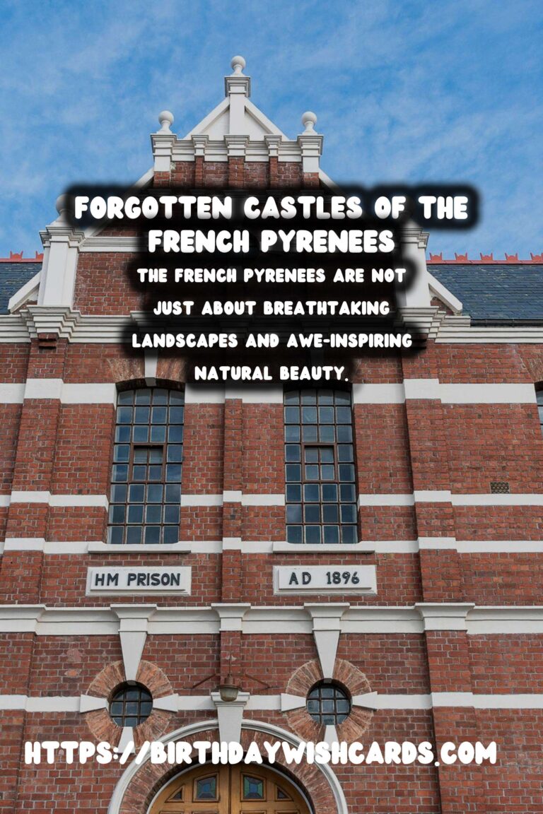 Exploring the Forgotten Castles of the French Pyrenees