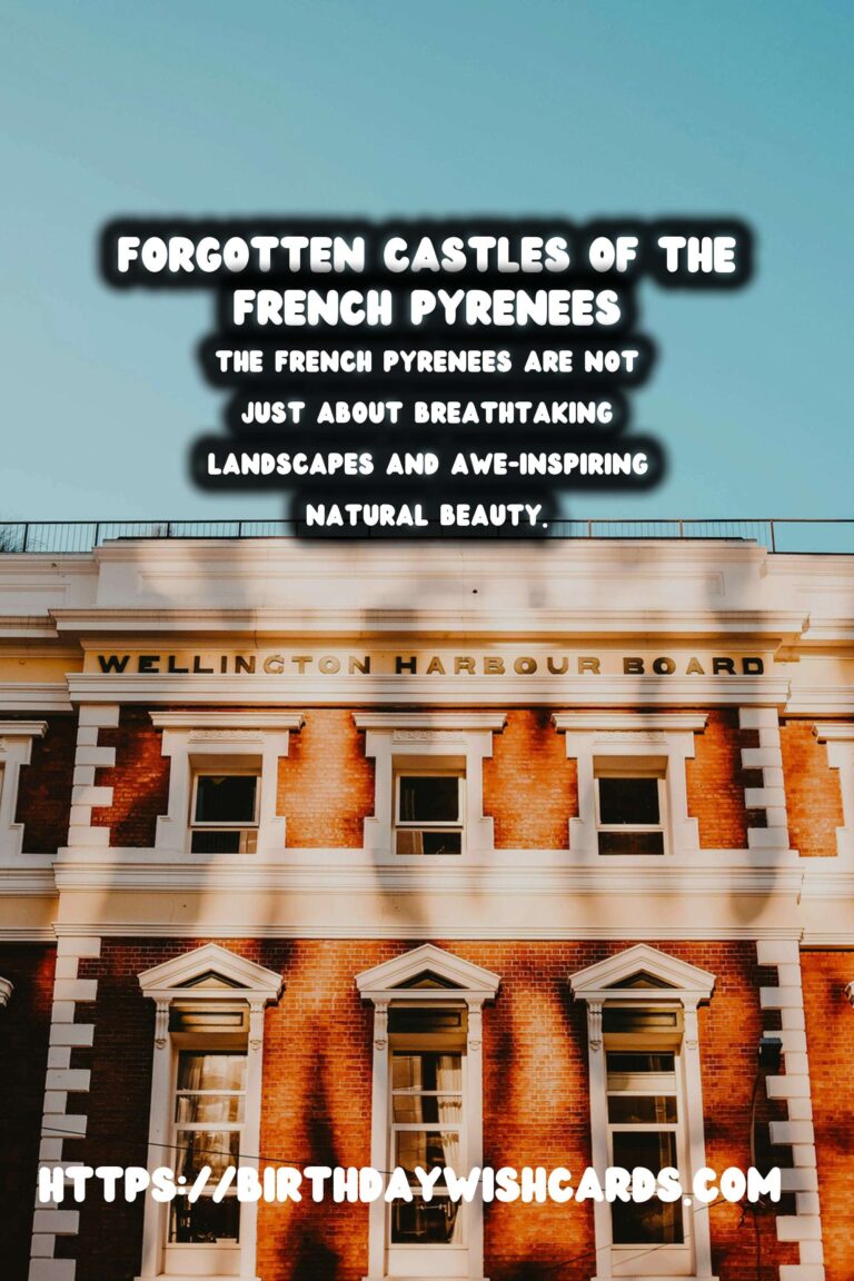 Exploring the Forgotten Castles of the French Pyrenees