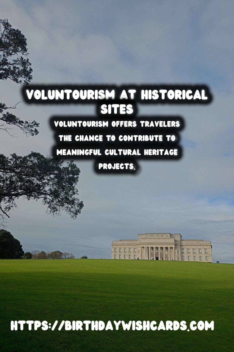 Exploring the Impact of Voluntourism in Historical Site Mapping