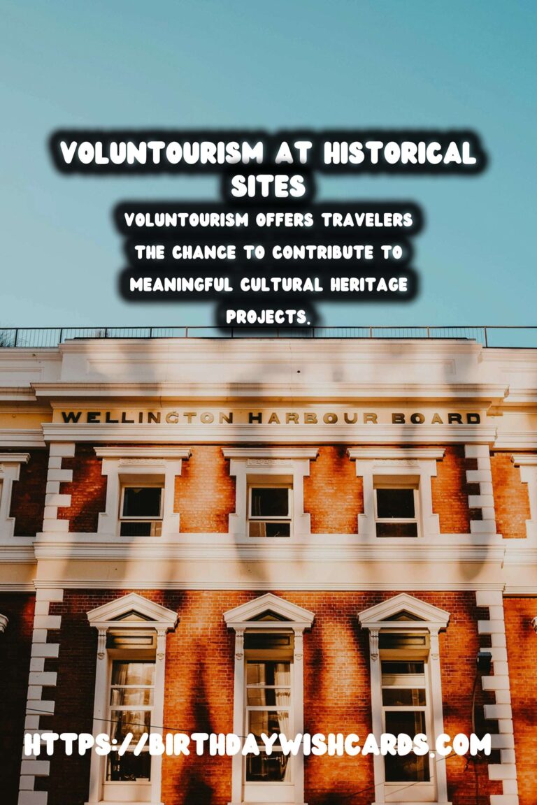Exploring the Impact of Voluntourism in Historical Site Mapping