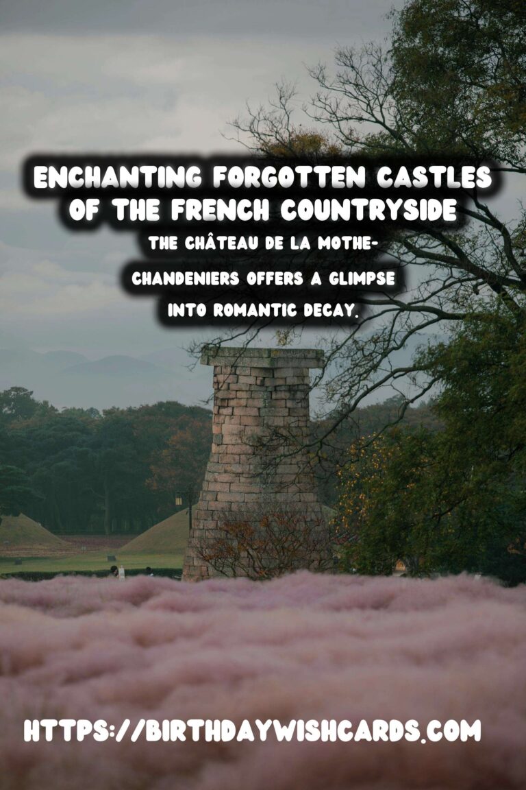 Forgotten Castles of the French Countryside: A Journey Through Time