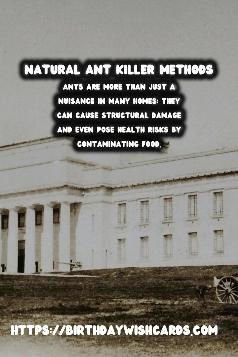 Homemade Ant Killer: Natural Pest Control Methods That Work