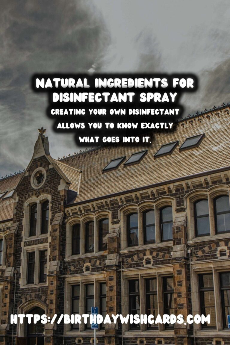 Homemade Disinfectant Spray: Your Natural Germ Killer