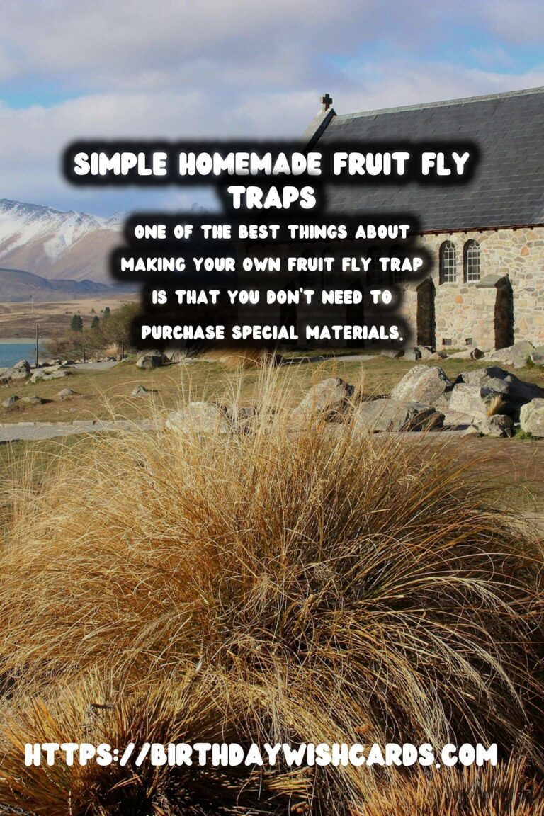 Homemade Fruit Fly Trap: A Simple Solution